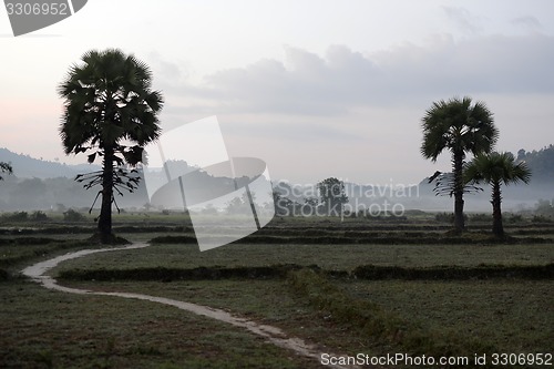 Image of ASIA MYANMAR MYEIK LANDSCAPE