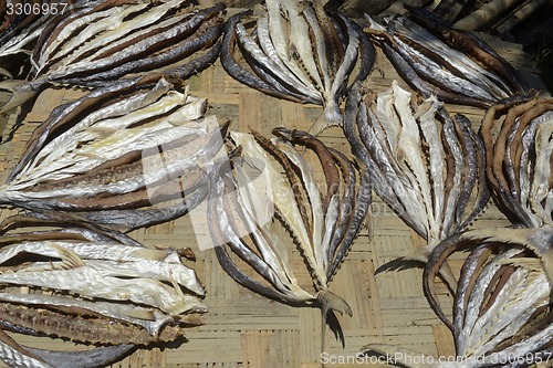 Image of ASIA MYANMAR MYEIK DRY FISH PRODUCTION