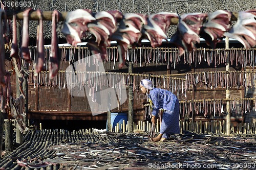 Image of ASIA MYANMAR MYEIK DRY FISH PRODUCTION