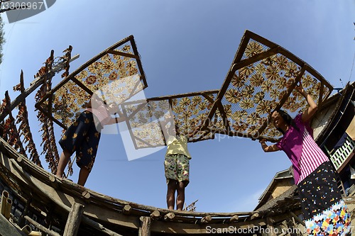 Image of ASIA MYANMAR MYEIK DRY FISH PRODUCTION