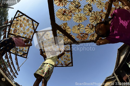 Image of ASIA MYANMAR MYEIK DRY FISH PRODUCTION