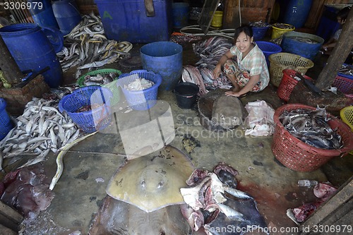 Image of ASIA MYANMAR MYEIK DRY FISH PRODUCTION