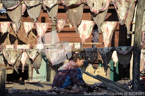 Image of ASIA MYANMAR MYEIK DRY FISH PRODUCTION