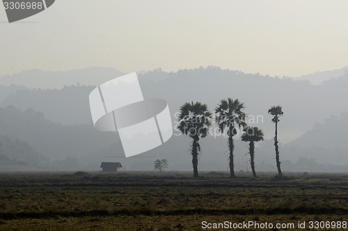 Image of ASIA MYANMAR MYEIK AGRACULTURE