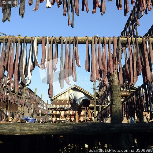 Image of ASIA MYANMAR MYEIK DRY FISH PRODUCTION