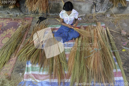 Image of ASIA MYANMAR MYEIK BRUSH PRODUCTION