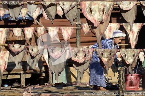 Image of ASIA MYANMAR MYEIK DRY FISH PRODUCTION