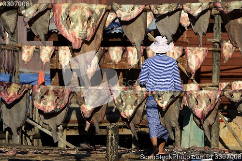 Image of ASIA MYANMAR MYEIK DRY FISH PRODUCTION