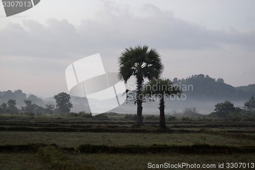 Image of ASIA MYANMAR MYEIK LANDSCAPE