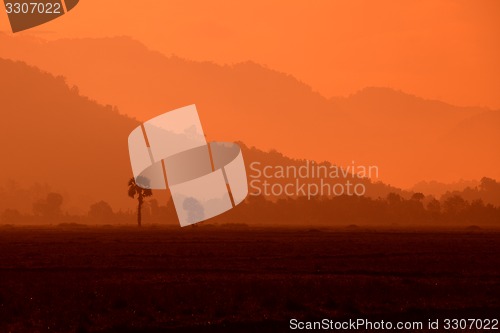 Image of ASIA MYANMAR MYEIK AGRACULTURE