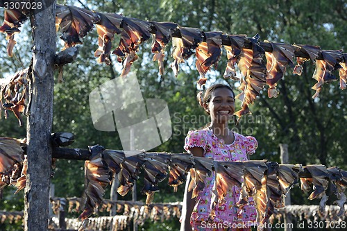 Image of ASIA MYANMAR MYEIK DRY FISH PRODUCTION