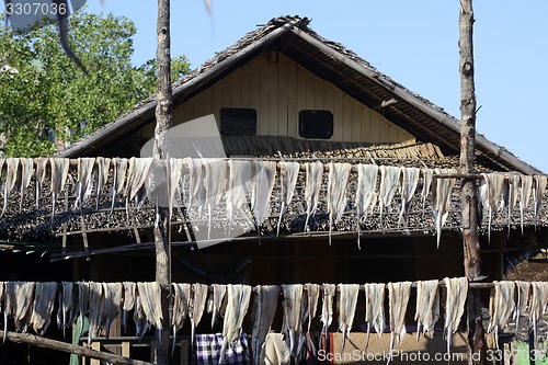 Image of ASIA MYANMAR MYEIK DRY FISH PRODUCTION