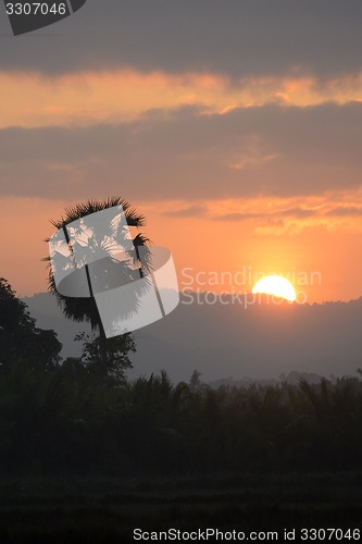 Image of ASIA MYANMAR MYEIK LANDSCAPE