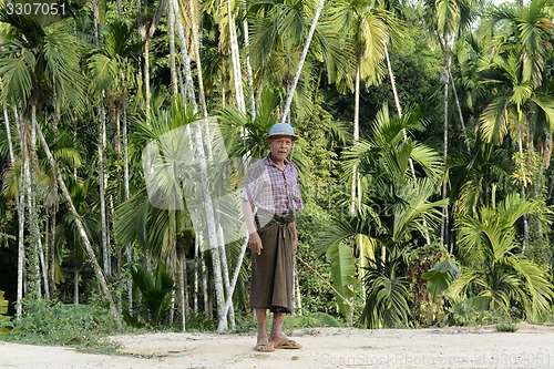 Image of ASIA MYANMAR MYEIK PEOPLE