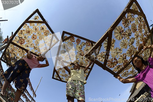 Image of ASIA MYANMAR MYEIK DRY FISH PRODUCTION