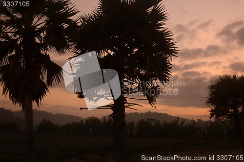 Image of ASIA MYANMAR MYEIK LANDSCAPE