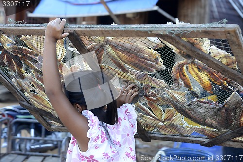 Image of ASIA MYANMAR MYEIK DRY FISH PRODUCTION