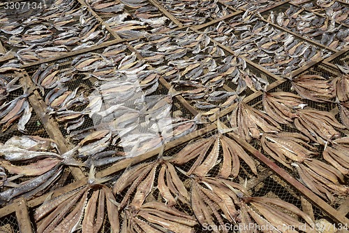 Image of ASIA MYANMAR MYEIK DRY FISH PRODUCTION