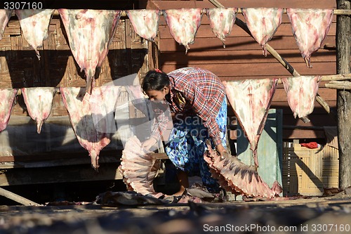 Image of ASIA MYANMAR MYEIK DRY FISH PRODUCTION