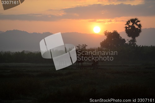 Image of ASIA MYANMAR MYEIK LANDSCAPE