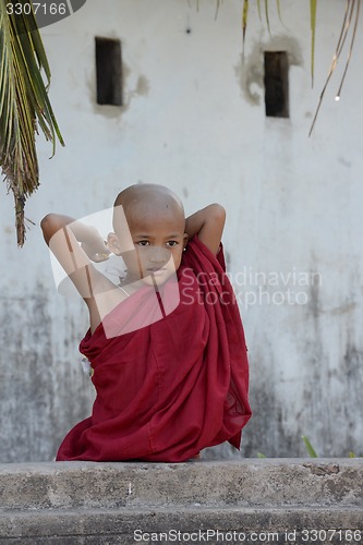 Image of ASIA MYANMAR MYEIK CITY MONK