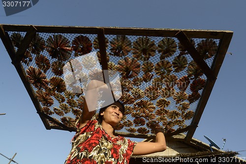 Image of ASIA MYANMAR MYEIK DRY FISH PRODUCTION