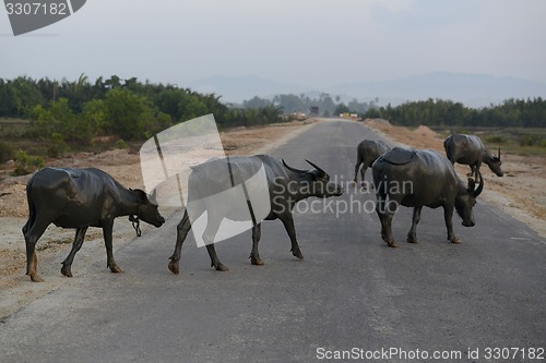 Image of ASIA MYANMAR MYEIK LANDSCAPE