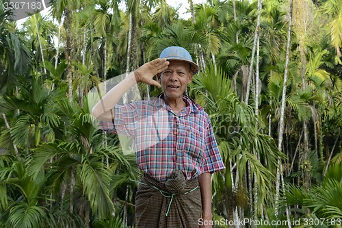 Image of ASIA MYANMAR MYEIK PEOPLE