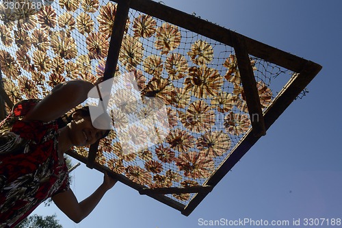 Image of ASIA MYANMAR MYEIK DRY FISH PRODUCTION