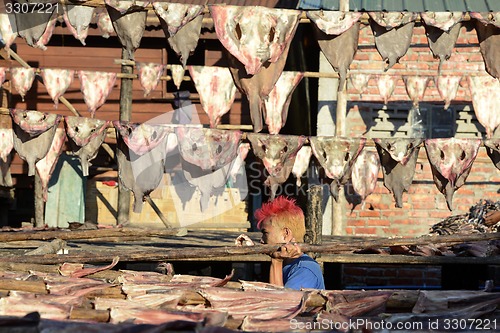 Image of ASIA MYANMAR MYEIK DRY FISH PRODUCTION