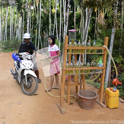 Image of ASIA MYANMAR MYEIK PEOPLE