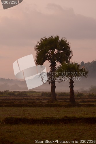 Image of ASIA MYANMAR MYEIK LANDSCAPE