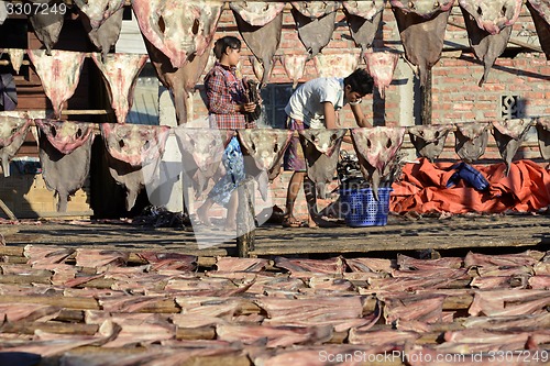 Image of ASIA MYANMAR MYEIK DRY FISH PRODUCTION