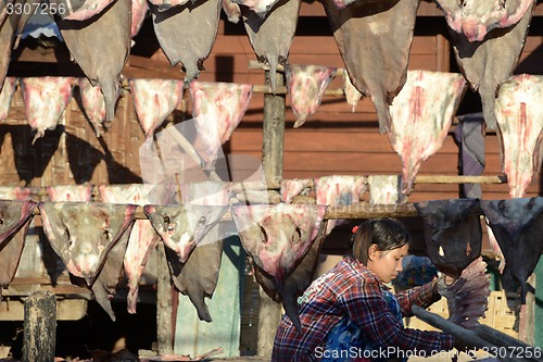 Image of ASIA MYANMAR MYEIK DRY FISH PRODUCTION