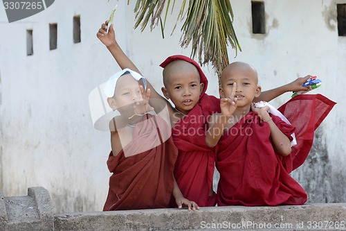 Image of ASIA MYANMAR MYEIK CITY MONK