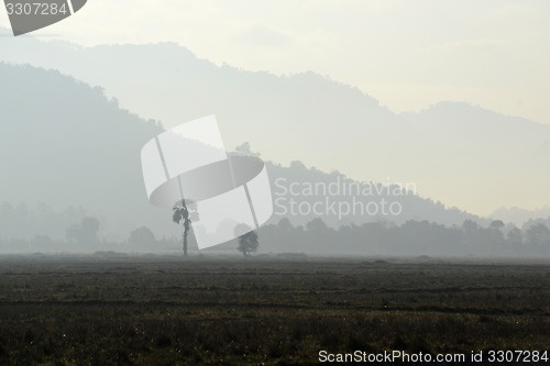 Image of ASIA MYANMAR MYEIK AGRACULTURE