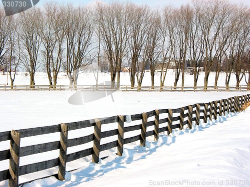 Image of Farm fence and trees 1