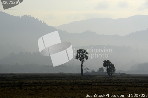 Image of ASIA MYANMAR MYEIK AGRACULTURE