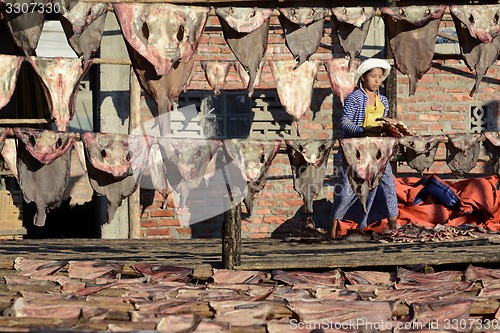 Image of ASIA MYANMAR MYEIK DRY FISH PRODUCTION