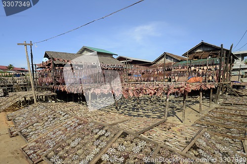 Image of ASIA MYANMAR MYEIK DRY FISH PRODUCTION