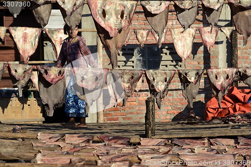 Image of ASIA MYANMAR MYEIK DRY FISH PRODUCTION