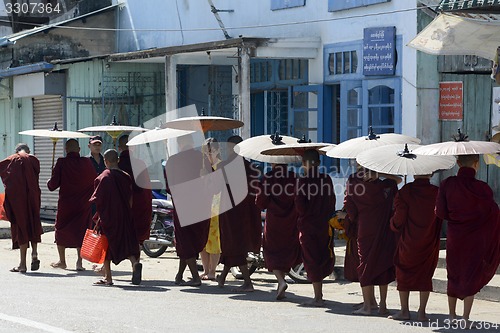 Image of ASIA MYANMAR MYEIK CITY MONK