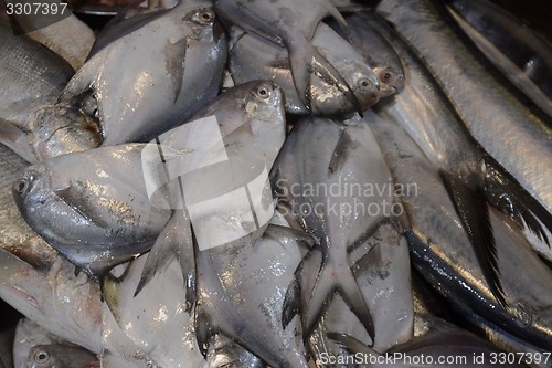 Image of ASIA MYANMAR MYEIK MARKET