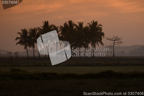 Image of ASIA MYANMAR MYEIK LANDSCAPE