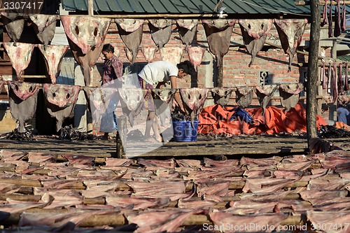 Image of ASIA MYANMAR MYEIK DRY FISH PRODUCTION