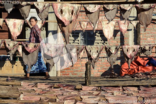 Image of ASIA MYANMAR MYEIK DRY FISH PRODUCTION