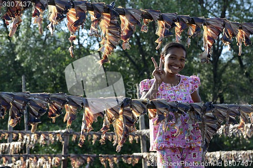 Image of ASIA MYANMAR MYEIK DRY FISH PRODUCTION