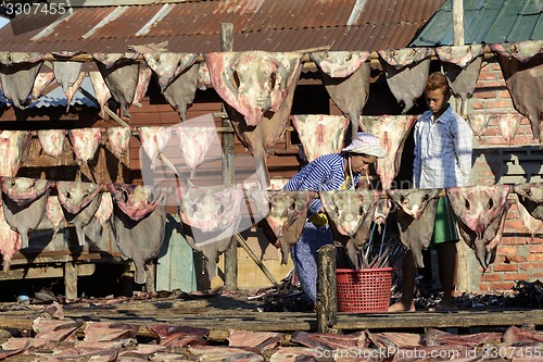 Image of ASIA MYANMAR MYEIK DRY FISH PRODUCTION