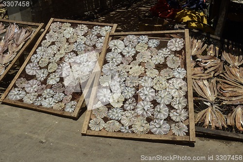 Image of ASIA MYANMAR MYEIK DRY FISH PRODUCTION