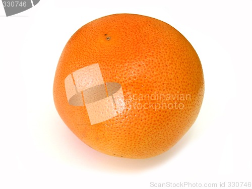 Image of Grapefruit on white